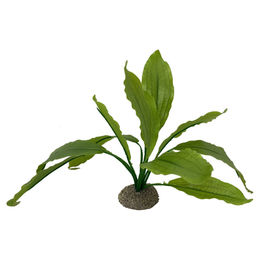 Aqua Della Künstliche Aquarium Pflanze Echinodorus 2 Grün 24 cm aus Kunststoff – Bild 1 von 3