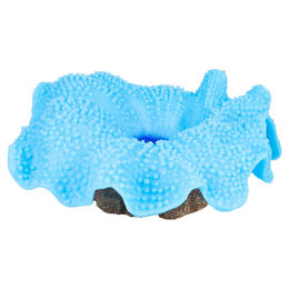 Aqua Della Kunstpflanze Anemone Teppich Blau für Meerwasser Aquarien aus Kunststoff – Bild 1 von 6