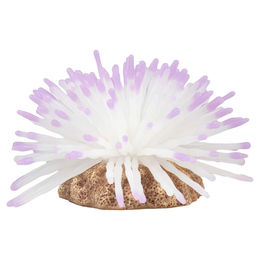 Aqua Della Kunstpflanze Anemone Weiß für Meerwasser-Aquarien aus Kunststoff – Bild 1 von 6
