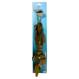 Produktbild von Aqua Della Kunstpflanze Caulerpa für Meerwasser Aquarien Grün Größe L