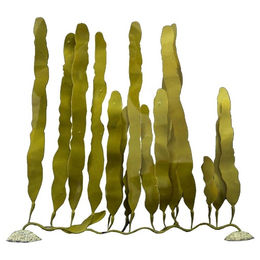 Produktbild von Aqua Della Kunstpflanze Caulerpa Grün Größe M für Aquarien