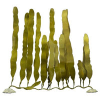 Produktbild von Aqua Della Kunstpflanze Caulerpa Grün Größe M für Aquarien