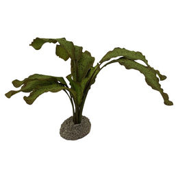 Produktbild von Aqua Della Kunstpflanze Echinodorus Grün für Aquarien und Terrarien