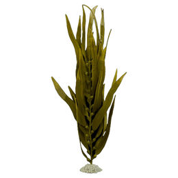 Produktbild von Aqua Della Kunstpflanze Kelp braun Größe S für Aquarien