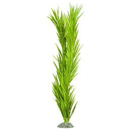 Produktbild von Aqua Della Kunstpflanze Kelp grün für Aquarien Größe M