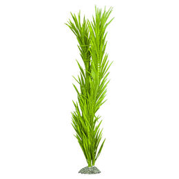 Produktbild von Aqua Della Kunstpflanze Kelp grün für Aquarien Größe S