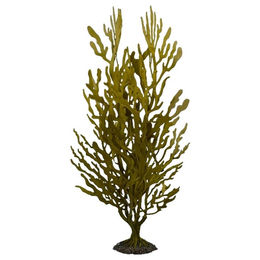 Produktbild von Aqua Della Kunstpflanze Kelpstrauch grün für Aquarien Größe M