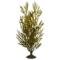 Produktbild von Aqua Della Kunstpflanze Kelpstrauch grün für Aquarien Größe M