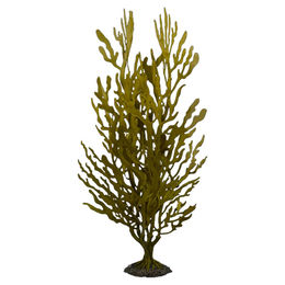 Produktbild von Aqua Della Kunstpflanze Kelpstrauch grün Größe S für Fische