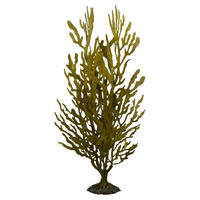 Produktbild von Aqua Della Kunstpflanze Kelpstrauch grün Größe S für Fische