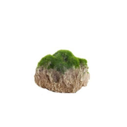 Aqua Della Moss Stone Aquariumdekoration mit Moos und Saugnapf XS – Bild 1 von 3