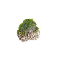 Produktbild von Aqua Della Moss Stone Aquariumdekoration Stein mit Moos und Saugnapf Größe S für Fische