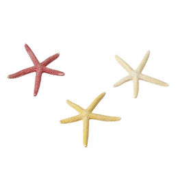 Produktbild von Aqua Della Starfish Mix Aquariumdekoration für Meerwasser in verschiedenen Farben