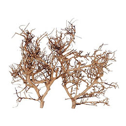 Aqua Della Thailand Zweig Figur und Höhle für Fische Braun 35-45 cm – Bild 1 von 2