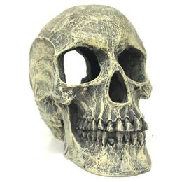 Produktbild von Aqua Della Totenkopf Figur und Höhle Aquariumdekoration für Zierfische Beige