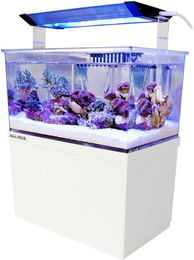 Produktbild von Aqua Medic Armatus XS