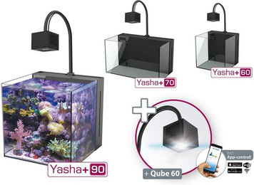Aqua Medic Yasha Nano Aquarium 60 – Bild 1 von 5