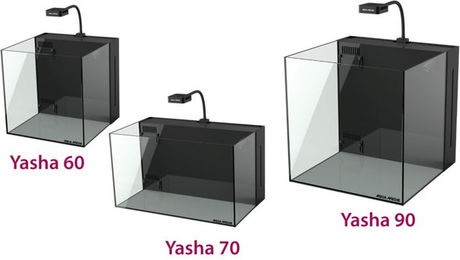Aqua Medic Yasha Nano Aquarium 70 – Bild 1 von 7