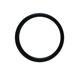 Produktbild von AquaClear Dichtungsring Schwarz für AquaClear Mini, 150, 200 und 300 Aquarienfilter