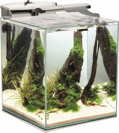 Aquael Fish & Shrimp Set Duo D&N 35 – Bild 1 von 4