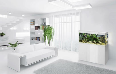 Produktbild von Aquael Glossy 100 Kombination Weiß Glas Set für Fische