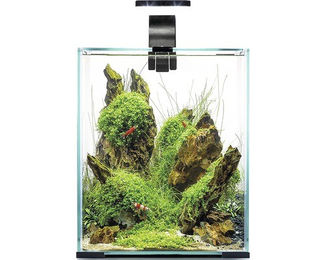 Aquael Shrimp Set Day & Night 20 Aquarium Set Schwarz 20 Liter inkl. LED-Beleuchtung Filter und Heizer - 20 l – Bild 1 von 4