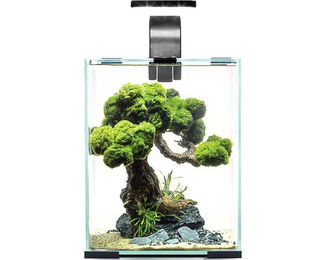 Aquael Shrimp Set Day & Night Aquarium 10 Liter inklusive LED-Beleuchtung, Filter und Heizer in Schwarz – Bild 1 von 6