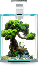 Aquael Shrimp Set Day & Night Nano Aquarium für Garnelen weiß 10 Liter – Bild 1 von 8