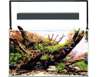 Aquael UltraScape 60 Forest Aquarium mit LED Beleuchtung und OPTI-Glas 64 l – Bild 1 von 7