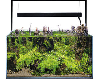 Aquael UltraScape 90 Forest Aquarium mit LED Beleuchtung und OPTI-Glas ca. 243 l – Bild 1 von 6