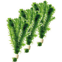 Produktbild von Aquafleur Elodea Densa Aquarienpflanze in Terrakotta 3 Stück