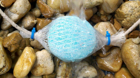 Produktbild von Aquaforte Pond Zinger Phosphatentferner für den Teich