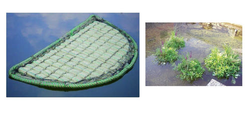 Aquaforte Schwimmende Pflanzinsel halbrund für Koi Teich Beschattung 121cm – Bild 1 von 1