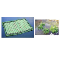 Produktbild von Aquaforte Schwimmende Pflanzinsel rechteckig 121x85cm