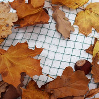 Produktbild von Aquagart Teichnetz 13m x 10m Laubschutznetz und Vogelschutznetz