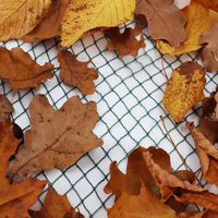 Produktbild von Aquagart Teichnetz Laubschutznetz robust 17m x 16m