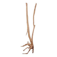 Produktbild von AquaOne Aquarium Wurzel Mangrove aus Naturholz für Aquascaping und Fische