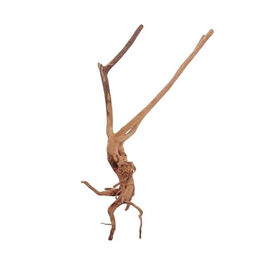 Produktbild von AquaOne Aquarium Wurzel Mangrove Naturholz zur Aquascaping Dekoration für Fische