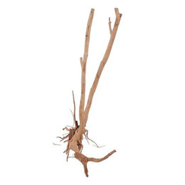 Produktbild von AquaOne Aquarium Wurzel Mangrove zur Aquascaping Dekoration für Fische