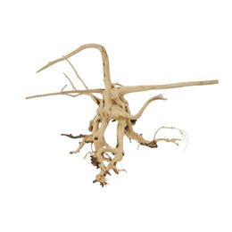 AquaOne Aquarium Wurzel Siennawurzel aus Echtholz für Aquascaping in Braun und Beige – Bild 1 von 4