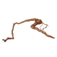 Produktbild von AquaOne Drachenwurzel Aquarium Deko XL Naturholz für Aquascaping und Süßwasserfische