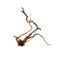 Produktbild von AquaOne Drachenwurzel Aquarium Dekowurzel aus Naturholz für Aquascaping und Süßwasser-Aquarien