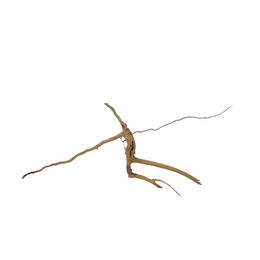 AquaOne Moorkienwurzel Natur für Süßwasser Aquarium und Aquascaping – Bild 1 von 8