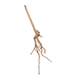 AquaOne Red Spiderwurzel Moorwood Mangroven Wurzel für Aquarium Aquascaping Braun – Bild 1 von 4