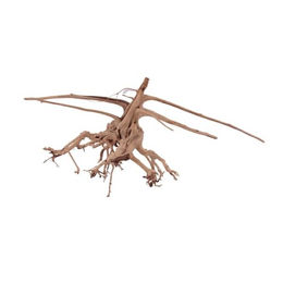 AquaOne Siennawurzel Nr. 1285 Größe L Naturholz für Süßwasser Aquarium Aquascaping Dekoration – Bild 1 von 4