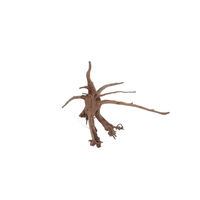 Produktbild von AquaOne Siennawurzel Nr. 5308 Echtholz Wurzel für Aquarium und Aquascaping Größe L Braun