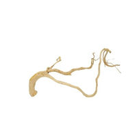 Produktbild von AquaOne XL Moorkienwurzel Nr. 9216 Naturholz für Aquarium und Aquascaping