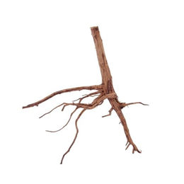 AquaOne XL Red Spider Wurzel Nr. 1055 Aquascaping Moorkien Holz Dekoration für Aquarien – Bild 1 von 4