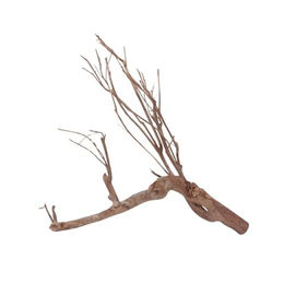 Produktbild von AquaOne XL Talawawurzel Nr. 1426 Naturholz für Aquarium und Aquascaping