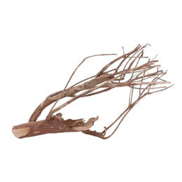 Produktbild von AquaOne XL Talawawurzel Nr. 1540 Naturholz für Aquascaping und Fischaquarien